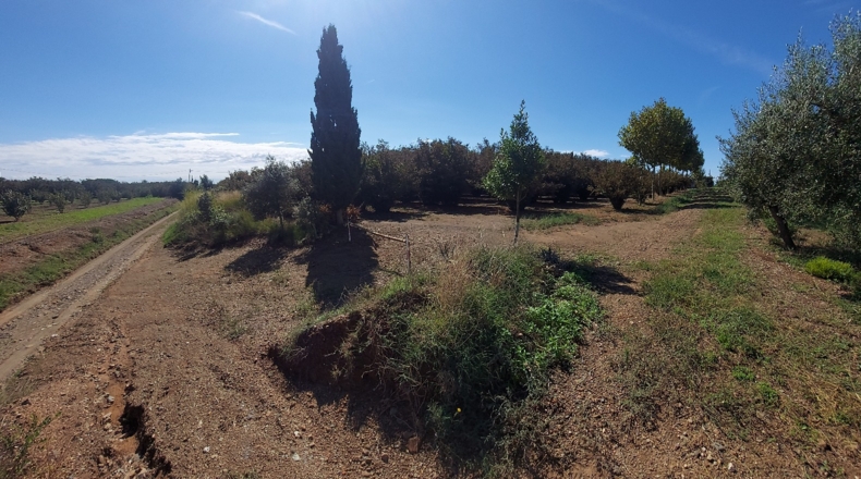 Tarragona - Tarragona - 80000m2