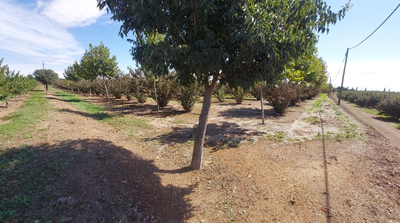 Tarragona - Tarragona - 80000m2