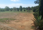 Terreny amb magatzem en venda a la camí mas de Colomí, Tarragona, ref.: TR56132 foto