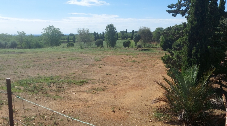 Tarragona - Tarragona - 80000m2