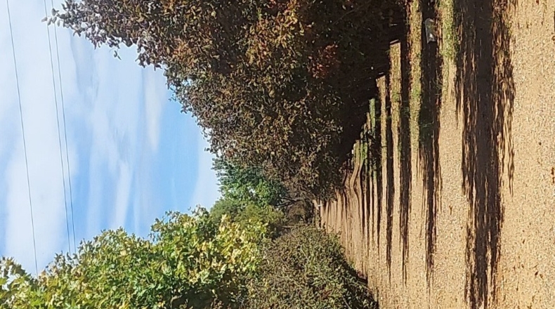 Tarragona - Tarragona - 80000m2