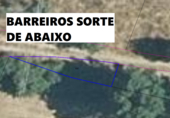 Terreno no urbanizable en venta en la PINZA, Viana del Bollo, ref: TR56154 foto