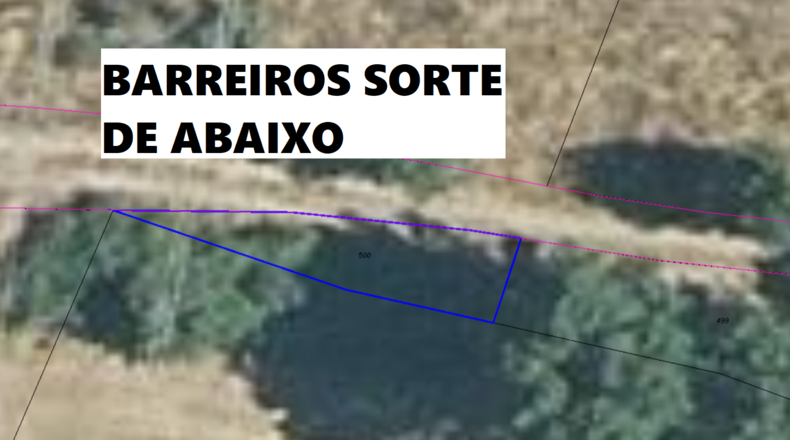 Orense - Viana do Bolo - 27000m2