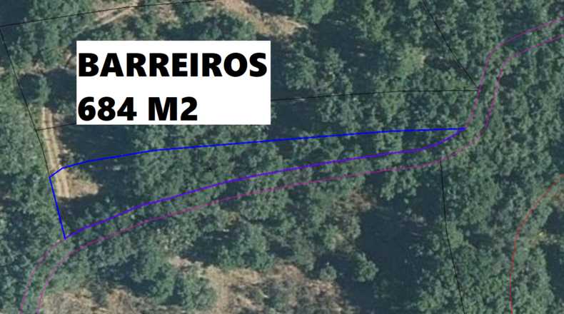 Orense - Viana do Bolo - 27000m2
