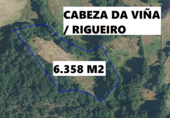 Terreno no urbanizable en venta en la PINZA, Viana del Bollo, ref: TR56154 foto