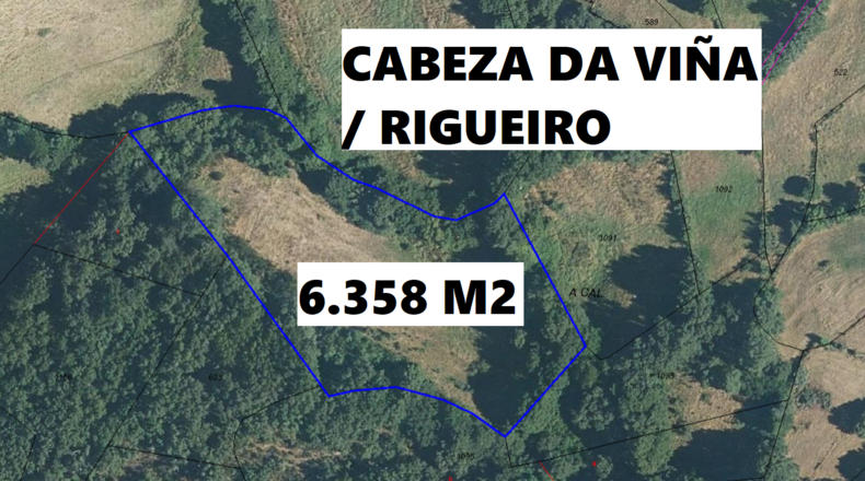 Orense - Viana do Bolo - 27000m2