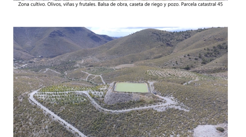 Almería - Gérgal - 450000m2