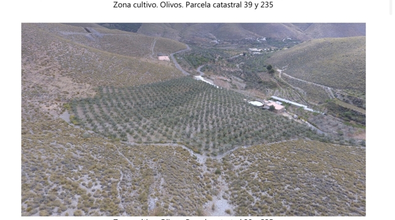Almería - Gérgal - 450000m2