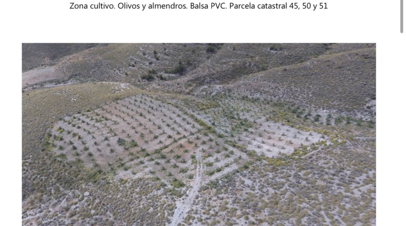 Almería - Gérgal - 450000m2