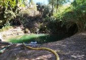 Non-developable land for sale on A-315, Hinojares, ref: TR56266 photo