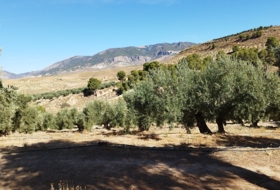 Hinojares 160000&nbsp;м²