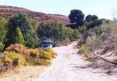 Non-developable land for sale on A-315, Hinojares, ref: TR56266 photo
