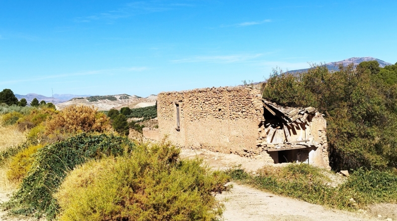 Jaén - Hinojares - 160000m2