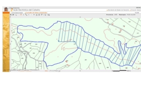 Hinojares 160000&nbsp;м²