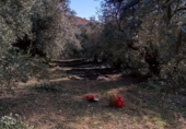 Non-developable land for sale on A-315, Hinojares, ref: TR56266 photo