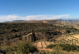 Hinojares 160000&nbsp;м²