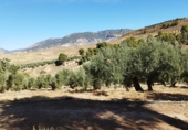 Non-developable land for sale on A-315, Hinojares, ref: TR56266 photo