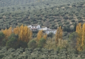 Casa de pueblo en venta en la JV-7042, Iznatoraf, ref: TR56268 foto