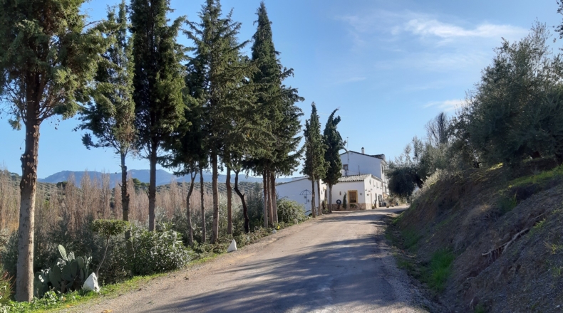 Jaén - Iznatoraf - 25000m2
