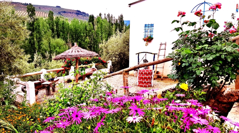 Jaén - Iznatoraf - 25000m2