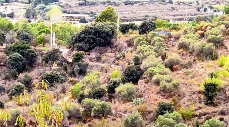 Tarragona - Sant Antoni - 31869m2