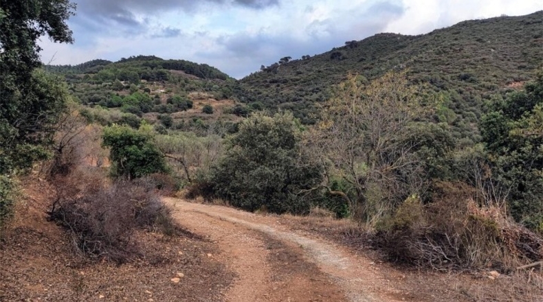 Tarragona - Sant Antoni - 31869m2