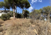 Non-developable land for sale on Telia, Alella, ref: TR56277 photo