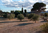 Finca rústica en venda a la Carrer El Campet 36, Petrer, ref.: TR52359 foto