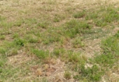 Suelo urbano en venta en la Peñarrubia, Uceda, ref: TR34971 foto