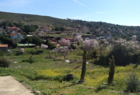 Uceda 1175&nbsp;m² 