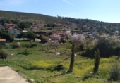 Suelo urbano en venta en la Peñarrubia, Uceda, ref: TR34971 foto