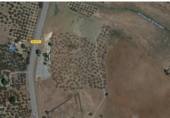 Land with ruins for sale on Urbanización Los Jinetes, Carmona, ref: TR56732 photo