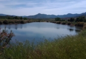 Rural estate for sale on a 50, Villanueva del Arzobispo, ref: TR56843 photo