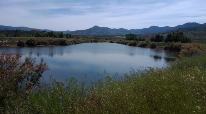 Jaén - Villanueva del Arzobispo - 3500000m2