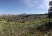 Rural estate for sale on a 50, Villanueva del Arzobispo, ref: TR56843 photo