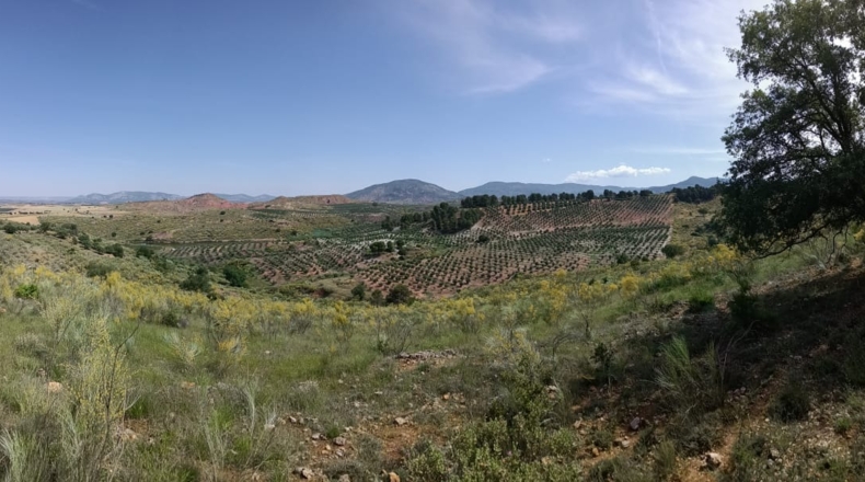 Jaén - Villanueva del Arzobispo - 3500000m2