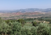 Rural estate for sale on a 50, Villanueva del Arzobispo, ref: TR56843 photo