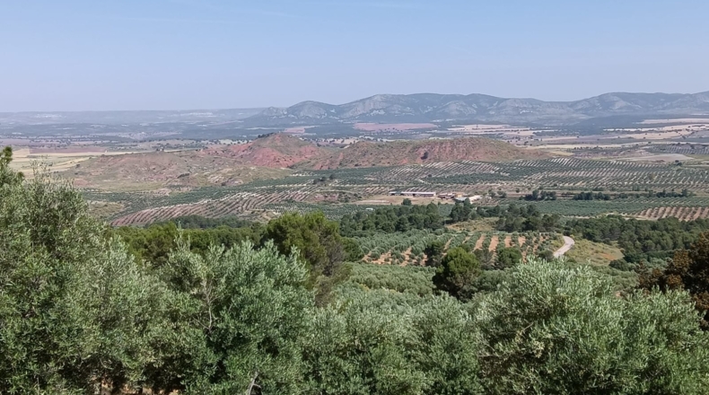 Jaén - Villanueva del Arzobispo - 3500000m2