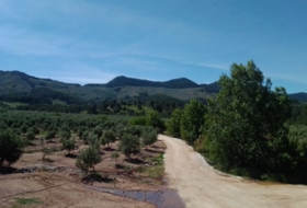 Foto 6