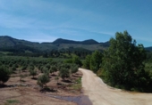 Rural estate for sale on a 50, Villanueva del Arzobispo, ref: TR56843 photo