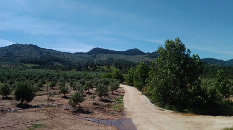 Jaén - Villanueva del Arzobispo - 3500000m2