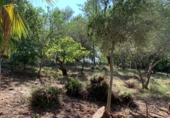 Suelo urbano en venta en la Urbanització Simpatica, Tortosa, ref: TR5156 foto