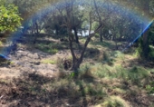 Suelo urbano en venta en la Urbanització Simpatica, Tortosa, ref: TR5156 foto