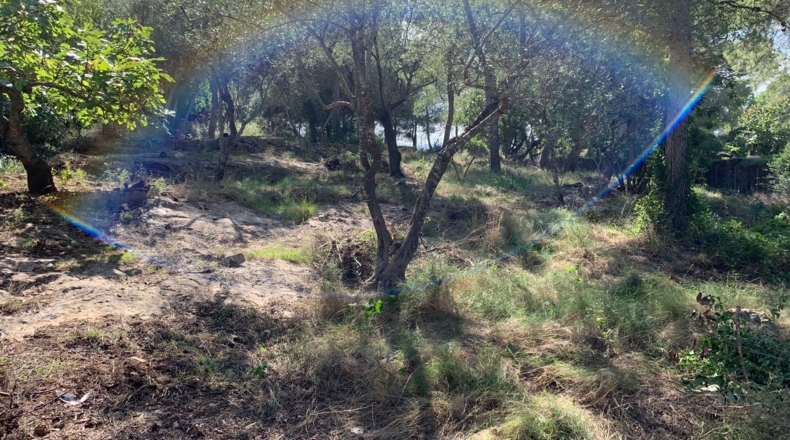 Tarragona - Tortosa - 2300m2
