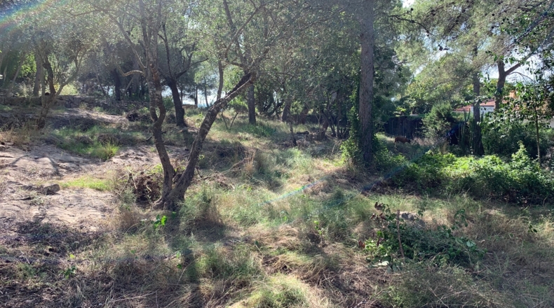 Tarragona - Tortosa - 2300m2