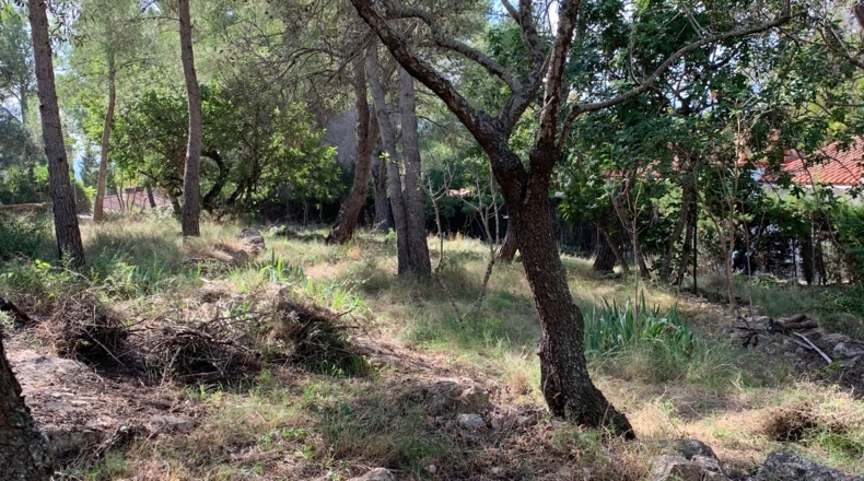 Tarragona - Tortosa - 2300m2