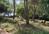 Suelo urbano en venta en la Urbanització Simpatica, Tortosa, ref: TR5156 foto