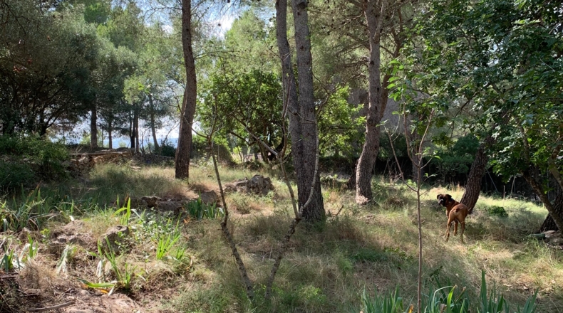 Tarragona - Tortosa - 2300m2