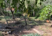 Suelo urbano en venta en la Urbanització Simpatica, Tortosa, ref: TR5156 foto
