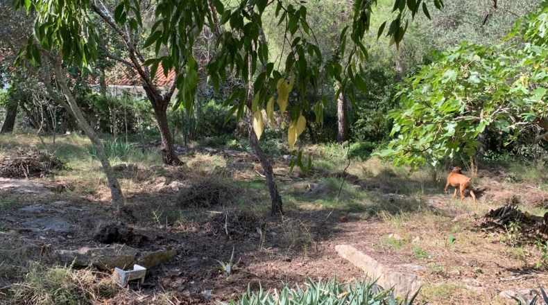 Tarragona - Tortosa - 2300m2